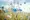Blumenwiese web